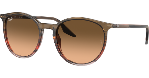 Ray-Ban RB2204 13953B - Ansicht 2