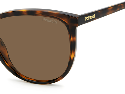 Polaroid Sonnenbrille Damen Polaroid PLD 4138/S 55 havanna Ansicht 3