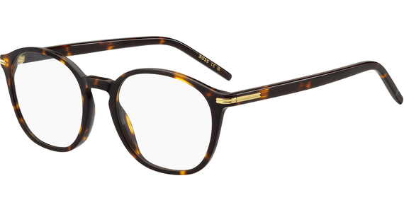 Hugo Boss BOSS 1659 50 brown - Ansicht 2