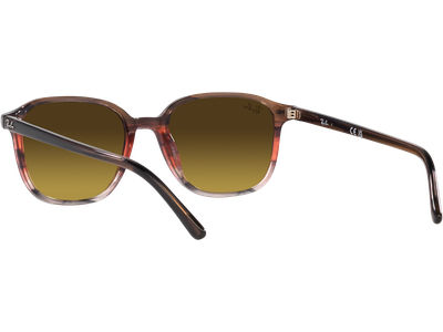 Ray-Ban Sonnenbrille Unisex Ray-Ban Leonard RB2193 138085 Ansicht 5