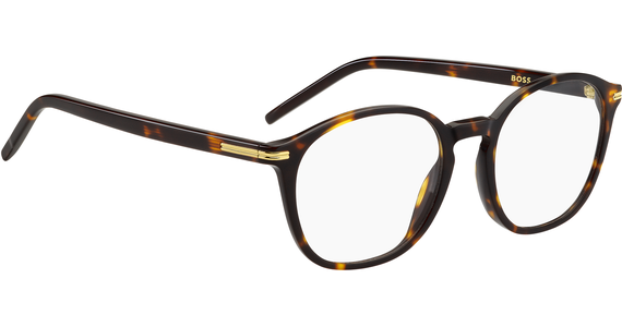 Hugo Boss BOSS 1659 50 brown - Ansicht 5